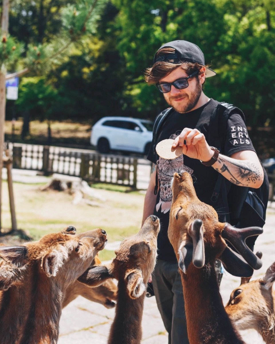 Tim Smith holding out a cracker to a group of eager deer in a sunny park.